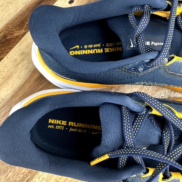 Nike Zoom Pegasus 41 West Virginia Men's Size 8/ Women's 9.5 Running FZ5153-400 - Picture 7 of 8